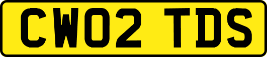 CW02TDS
