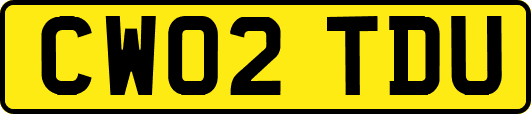 CW02TDU