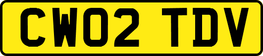 CW02TDV