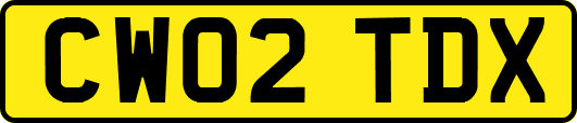 CW02TDX