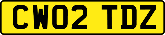 CW02TDZ