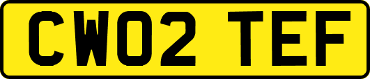 CW02TEF
