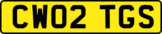 CW02TGS