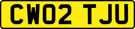 CW02TJU