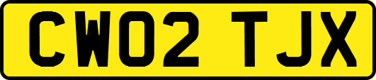 CW02TJX