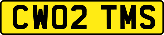 CW02TMS