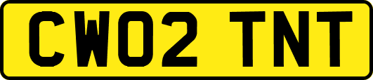 CW02TNT