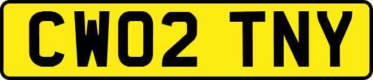 CW02TNY
