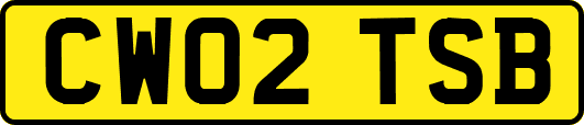 CW02TSB