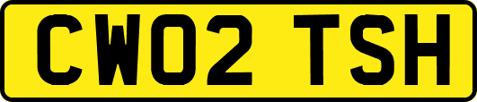 CW02TSH