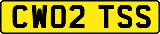 CW02TSS