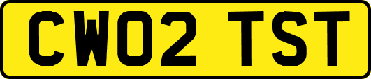 CW02TST