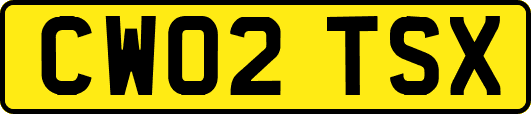 CW02TSX