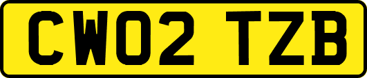 CW02TZB