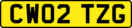 CW02TZG