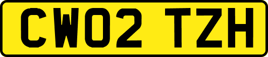 CW02TZH