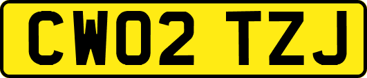 CW02TZJ