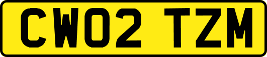 CW02TZM