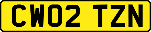 CW02TZN