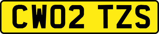 CW02TZS