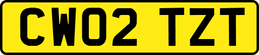 CW02TZT