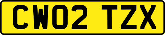 CW02TZX