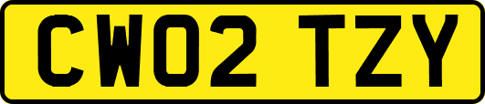 CW02TZY