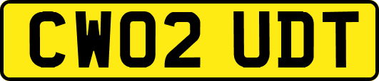 CW02UDT