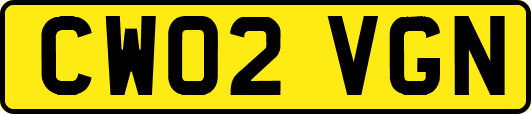 CW02VGN