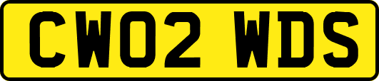 CW02WDS