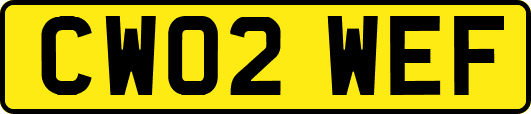 CW02WEF