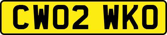 CW02WKO