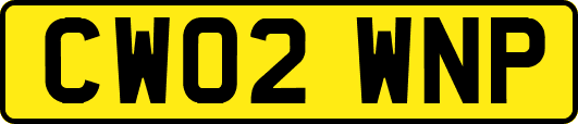 CW02WNP