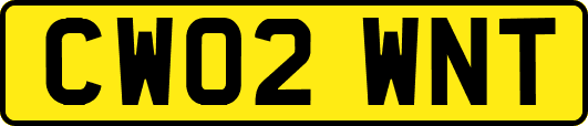 CW02WNT