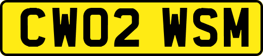 CW02WSM