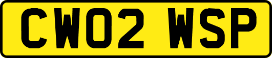 CW02WSP