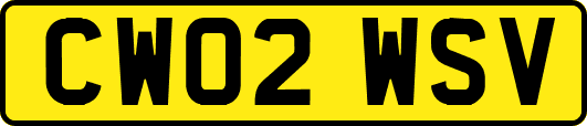 CW02WSV