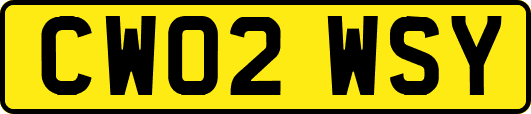 CW02WSY