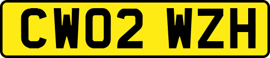 CW02WZH