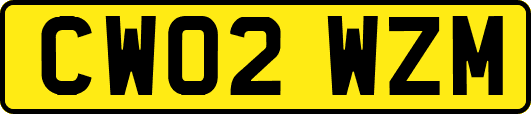 CW02WZM
