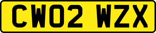 CW02WZX