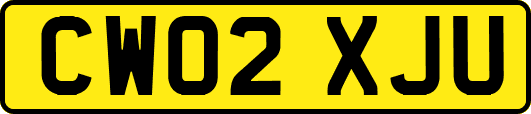 CW02XJU