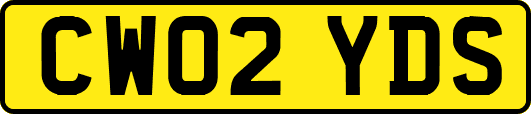 CW02YDS