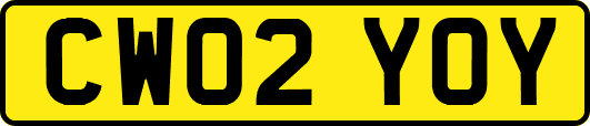CW02YOY
