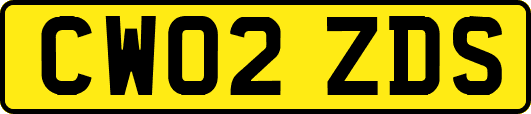 CW02ZDS