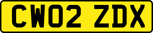 CW02ZDX