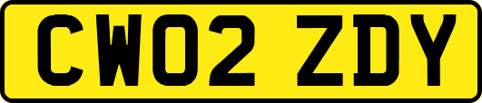 CW02ZDY