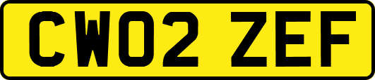 CW02ZEF