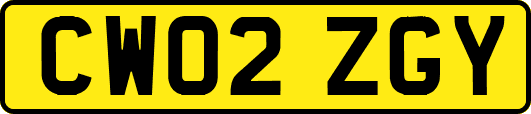CW02ZGY