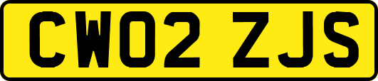 CW02ZJS